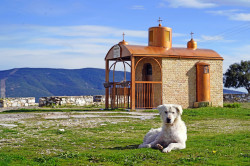 jarek1 
St. Dimitrios Orthodox chapel close to Philiphi 
2024-04-15 18:38:46