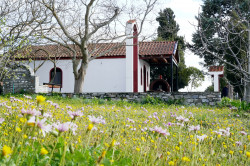 jarek 
St. Elijah the Prophet chapel close to Philippi 
2024-04-20 09:08:52