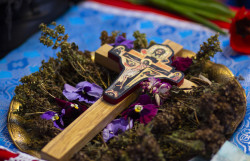 A.P. 
Cross 
2024-04-25 13:29:40