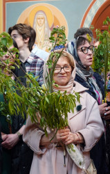 jarek1 
Palm Sunday in Zwierki Convent 
2024-04-29 21:37:54