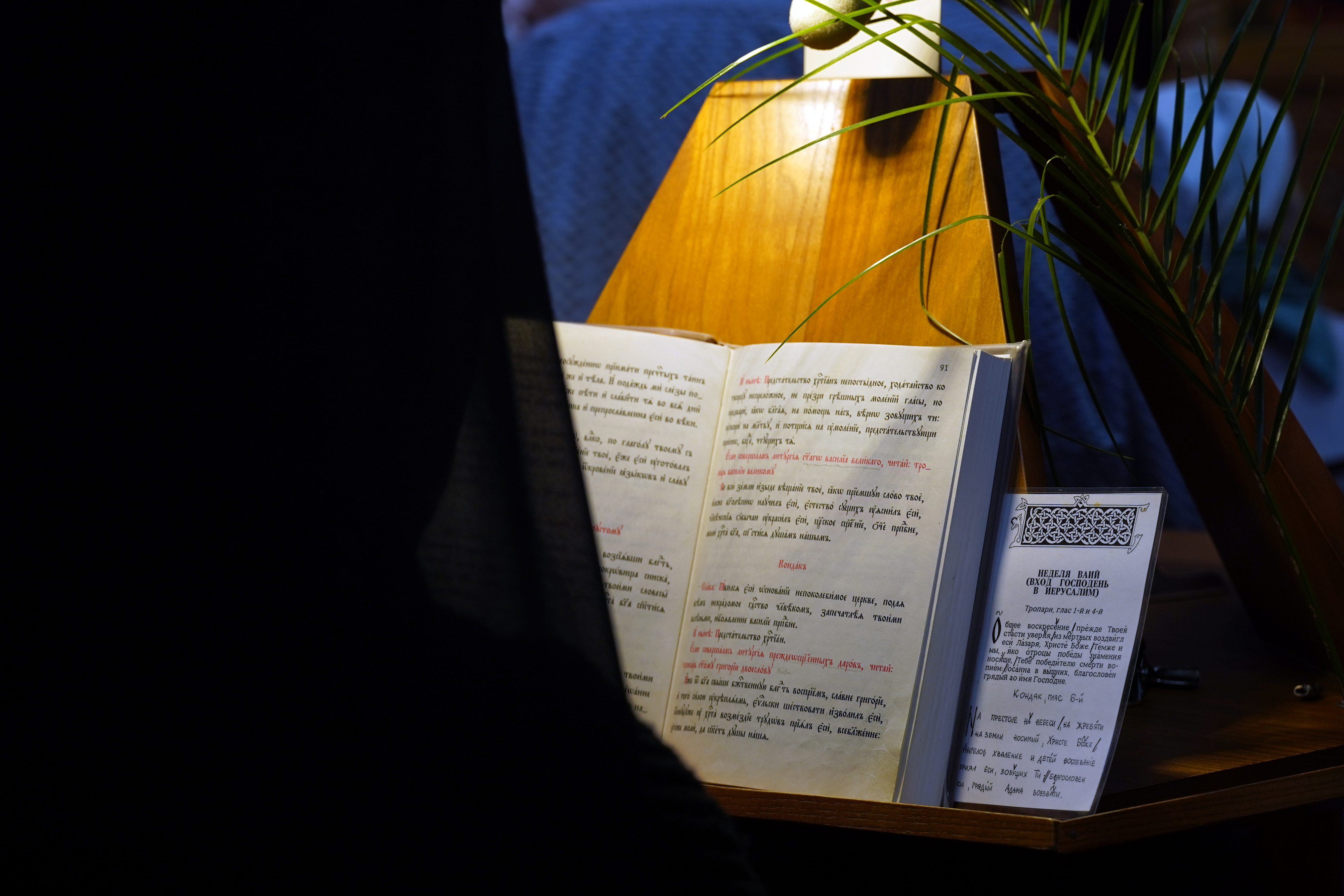 Palm Sunday in Zwierki Convent 