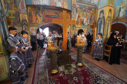 jarek 
The Twelve Gospels reading in Zwierki Convent 
2024-05-11 22:32:34