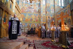 jarek 
The Twelve Gospels reading in Zwierki Convent 
2024-05-14 07:48:57