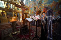 jarek 
The Twelve Gospels reading in Zwierki Convent   
2024-05-15 10:57:47