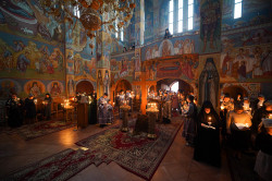 jarek1 
The Twelve Gospels reading in Zwierki Convent   
2024-05-15 10:59:47