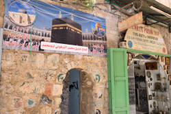 Sheep1389 
Via Dolorosa, religious mix 2023 
2024-05-16 09:39:58