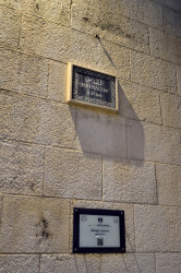 Sheep1389 
The Manger Square, Bethlehem, 2023 
2024-05-16 09:41:02