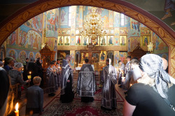 jarek1 
The Twelve Gospels reading in Zwierki Convent 
2024-05-16 18:05:13