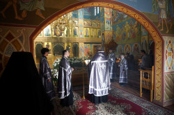 jarek1 
The Great Friday in Zwierki Convent 
2024-05-19 19:08:28