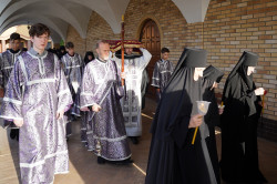 jarek 
The Great Friday in Zwierki Convent 
2024-05-19 19:10:49