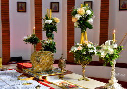 levangabechava 
 
2024-05-29 16:19:06