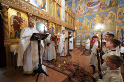 jarek1 
Easter night in Zwierki Convent 
2024-05-31 19:27:07