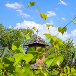 ArtemiJ 
Lord, look down from heaven and see and visit this vineyard... 
2024-06-13 01:11:42