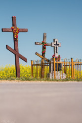 mati.40702 
Przy drodze II / Near the road II 
2024-06-15 17:12:16