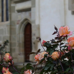 anamariaavram 
Putna Monastery 
2024-06-24 02:59:09