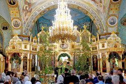 jarek1 
St. Onuphrius feast in Jabłeczna Monastery 2024 
2024-06-28 16:52:12