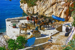 felix 
The Caroulia dock of the Mount Athos 
2024-07-02 21:27:16