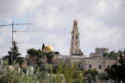 Sheep1389 
Orthodox church of the Forefathers - Beit Sahour, May 2023 
2024-07-10 16:03:55
