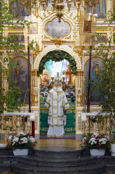 jarek 
St. Onuphrius feast in Jabłeczna Monastery 2024 
2024-07-14 11:39:14