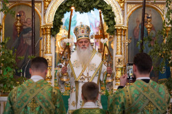 jarek 
St. Onuphrius feast in Jabłeczna Monastery 2024 
2024-07-14 11:39:32