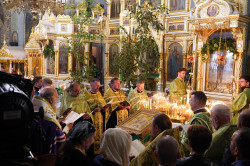 jarek1 
St. Onuphrius feast in Jabłeczna Monastery 2024 
2024-07-14 11:42:31