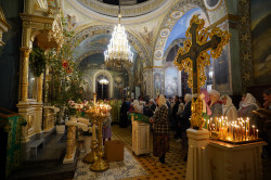 jarek1 
St. Onuphrius feast in Jabłeczna Monastery 2024 
2024-07-14 11:42:45