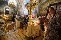 jarek1 
St. Onuphrius feast in Jabłeczna Monastery 2024 
2024-07-14 11:43:02
