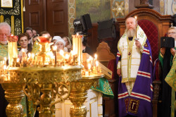 jarek 
St. Onuphrius feast in Jabłeczna Monastery 2024 
2024-07-15 11:41:45