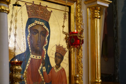 jarek 
St. Onuphrius feast in Jabłeczna Monastery 2024 
2024-07-15 11:43:14