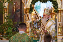 jarek11 
St. Onuphrius feast in Jabłeczna Monastery 2024  
2024-07-16 15:48:11