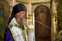 jarek11 
St. Onuphrius feast in Jabłeczna Monastery 2024  
2024-07-16 15:50:02