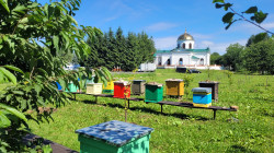 jarek1 
St. Onuphrius feast in Jabłeczna Monastery 2024  
2024-07-16 15:53:30
