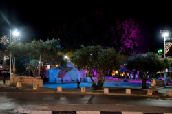 Sheep1389 
The Theotokos Spring in Nazareth in the evening, 2023 
2024-07-17 16:57:32