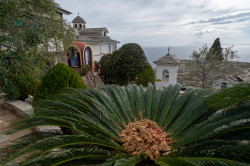 alik 
Holy Monastery of the Archangel Michael, Thasos 
2024-07-17 19:40:12
