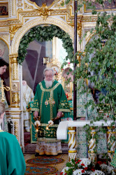 jarek11 
St. Onuphrius feast in Jabłeczna Monastery 2024 
2024-07-24 11:36:41