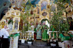 jarek1 
St. Onuphrius feast in Jabłeczna Monastery 2024 
2024-07-26 15:25:26