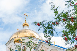 gulgena 
Купола 
15 
2024-08-14 21:58:05