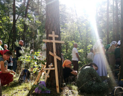 Sheep1389 
Krzyż, światłość - Liturgia polowa warszawskiej pielgrzymki 2024 
9 
2024-08-21 18:21:19