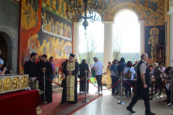 anamariaavram 
Cernica Monastery, Bucharest 
2024-08-22 17:38:51