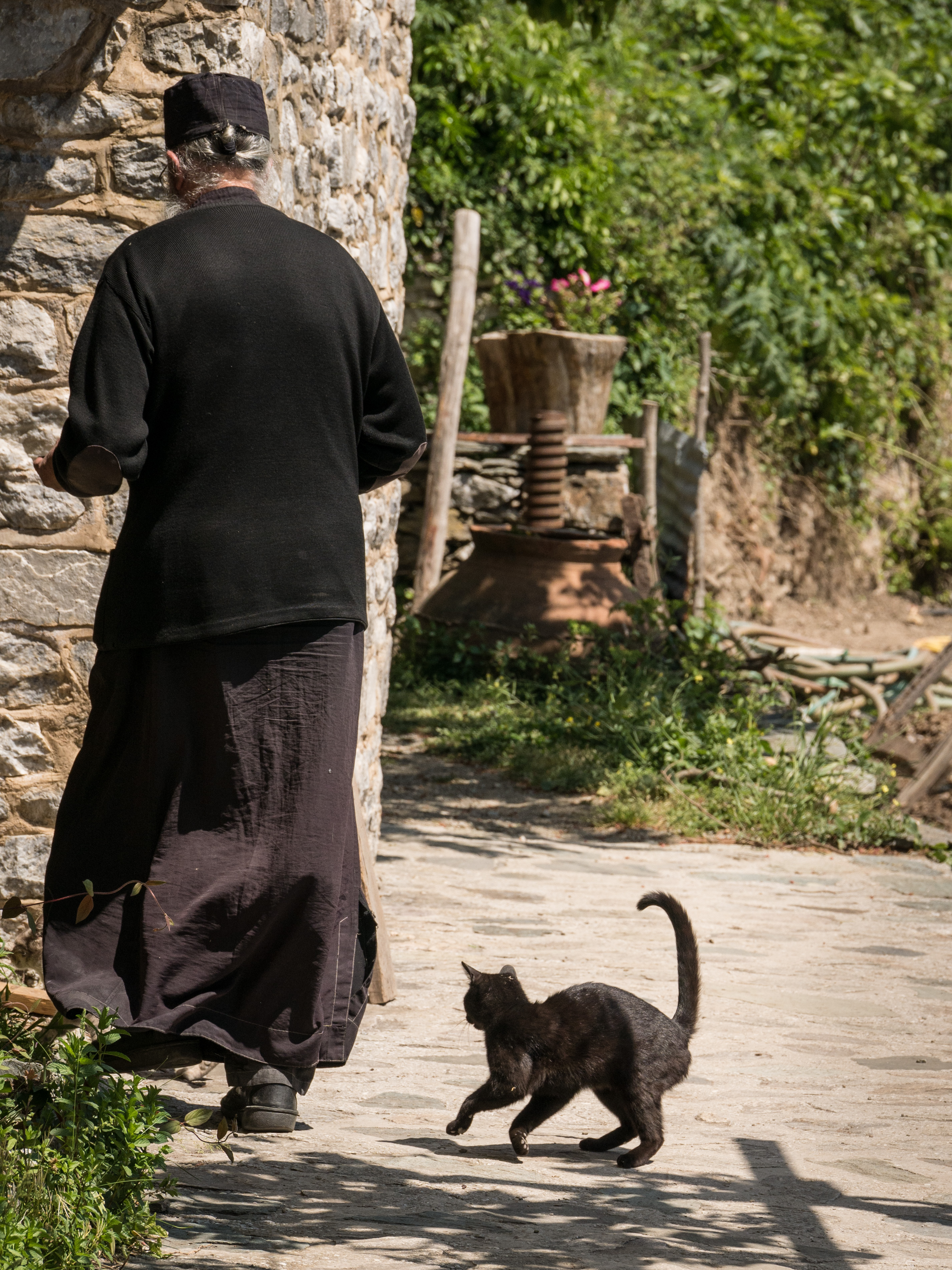 Cats of Athos