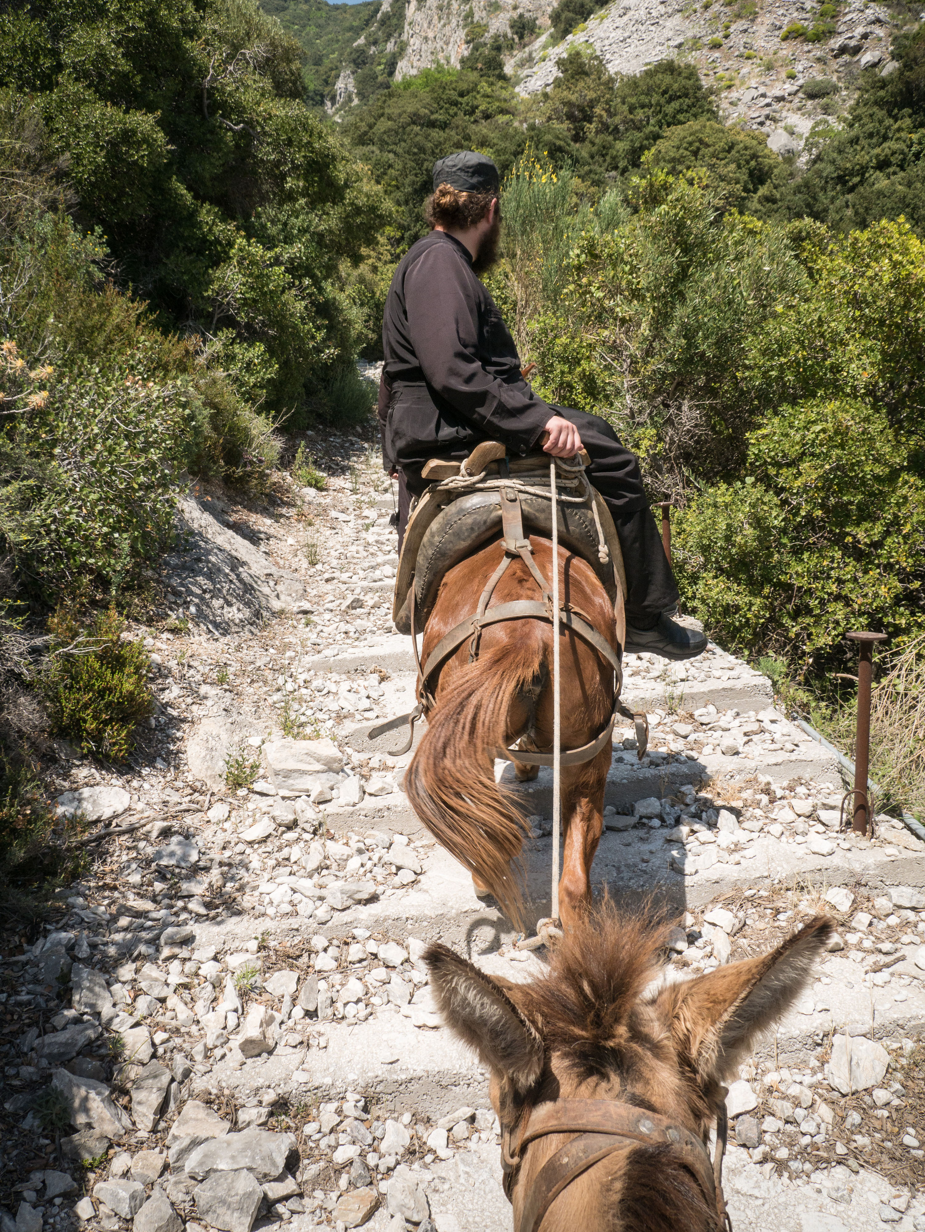 Mules to the Monastery