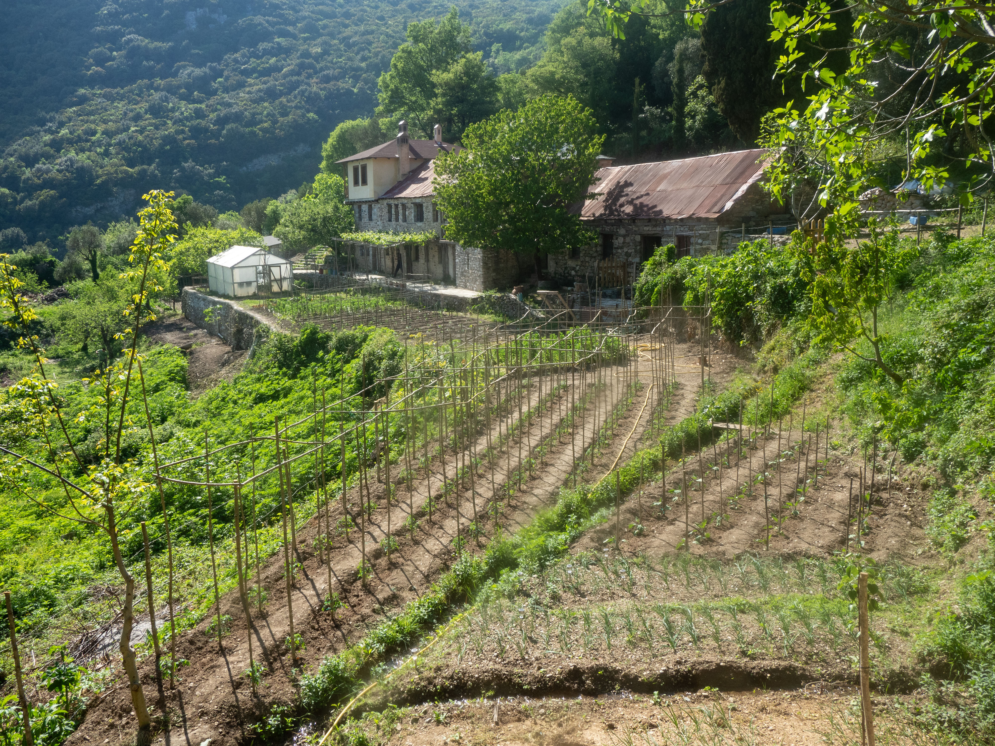 The Garden