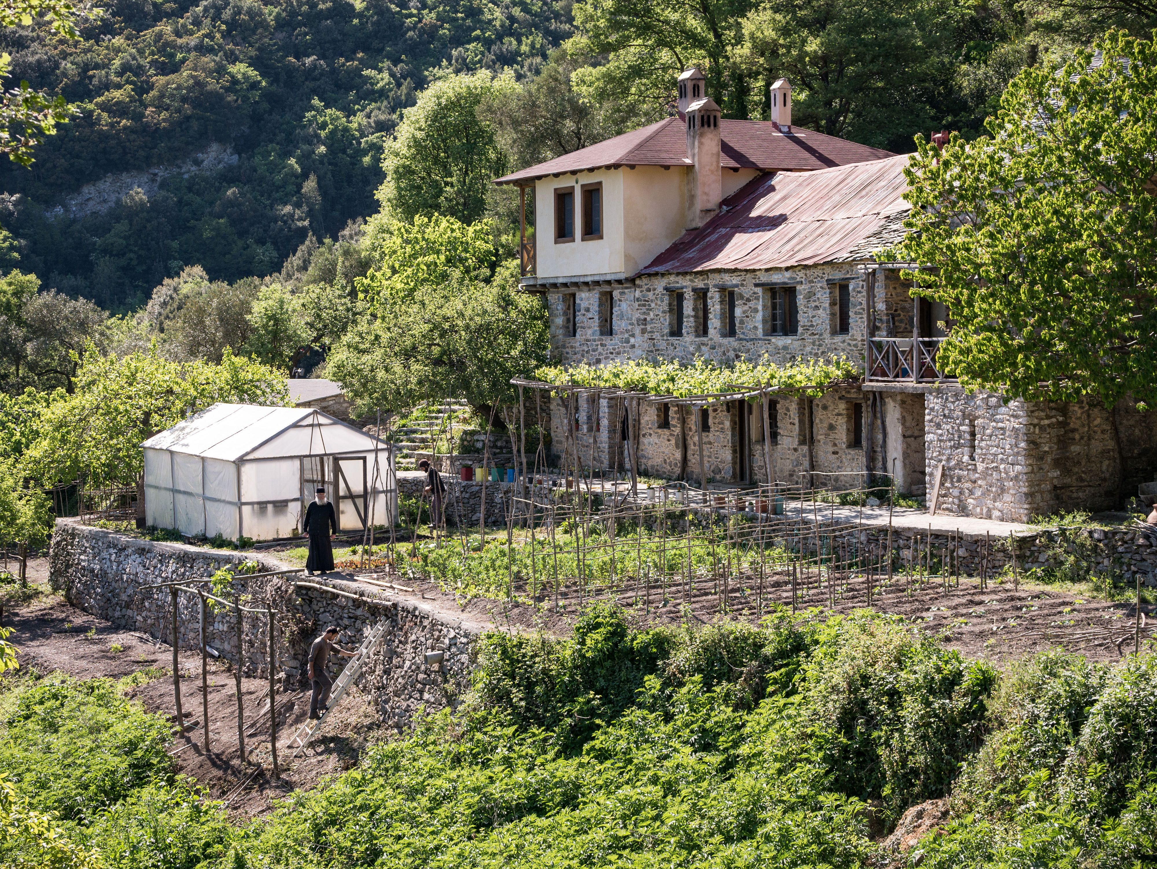 The garden and greenhouse, Kerasia