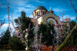 alik 
The Holy Trinity church in Polystylo 
2024-10-01 18:20:17