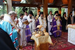 jarek 
The All-Night Village in Grabarka Convent  
2024-10-02 10:16:49