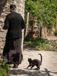 Lazo 
Cats of Athos 
2024-10-05 23:19:41
