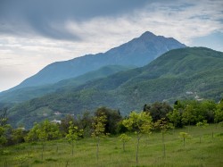 Lazo 
Mt. Athos, Holy Mountain, Agios Oros, Greece 
2024-10-11 20:14:09