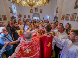 NikolaT 
Прослава празника Светог Томе у цркви Светог Томе у Бечићима 2 
2024-10-19 10:10:42