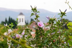 jarek11 
Ohrid 
2024-10-24 19:51:00