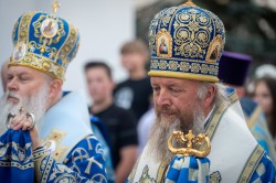 palavos 
Abp Grzegorz 
2024-10-25 10:12:41